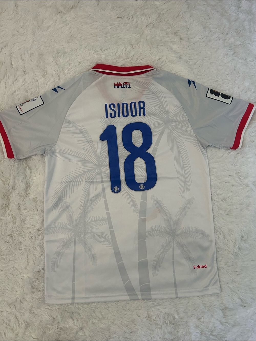 Haiti Men’s White & Gray Football Jersey - #18
